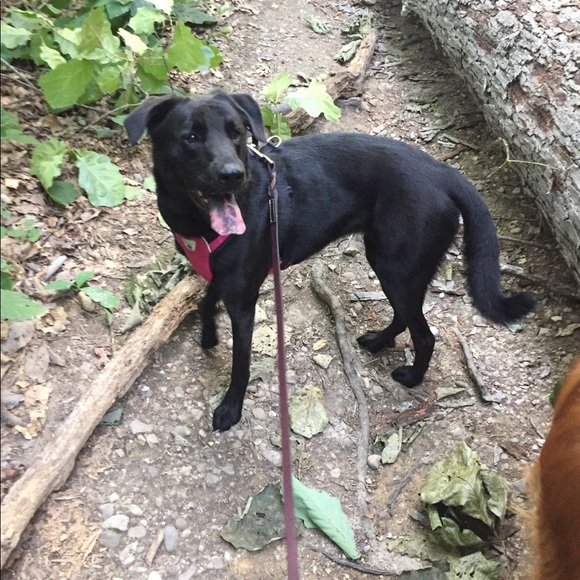 Meet your Posher, Julie - Picture 3 of 7